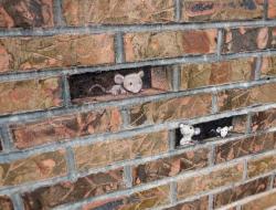 afewacresofsnow:  David Zinn   Street art