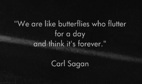 hisandherquotes:
“ (18+)
”
“We are like butterflies who flutter for a day and think it’s forever.”
~ Carl Sagan