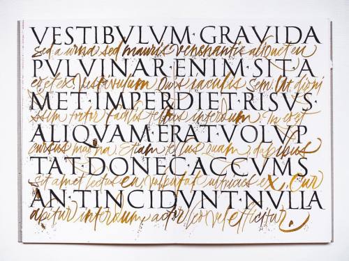 joanquiros: A mix of #roman capitals with a Nº2 flat brush and an expressive #script made with 