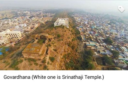 buzz-london:Sacred Govardhan hill in Vraj, near Mathura, UP, IndiaWhite temple was built after indep
