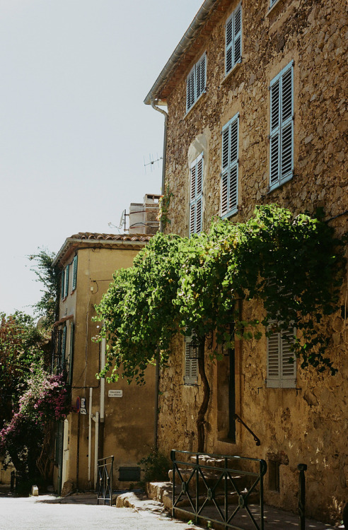 allthingseurope:  Saint Tropez, France (by whimsical jane) 