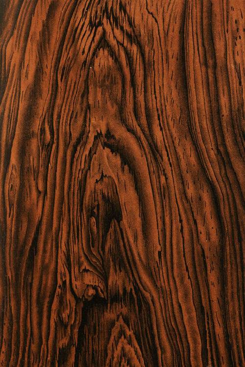 widenerlibrary: Gorgeous examples of painted wood grain from American Grainers Hand-book: A Popular 