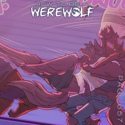 shawnlenore:We’re werewolf fighting, werewolf jumping, werewolf kicking, werewolf howling…If you lik
