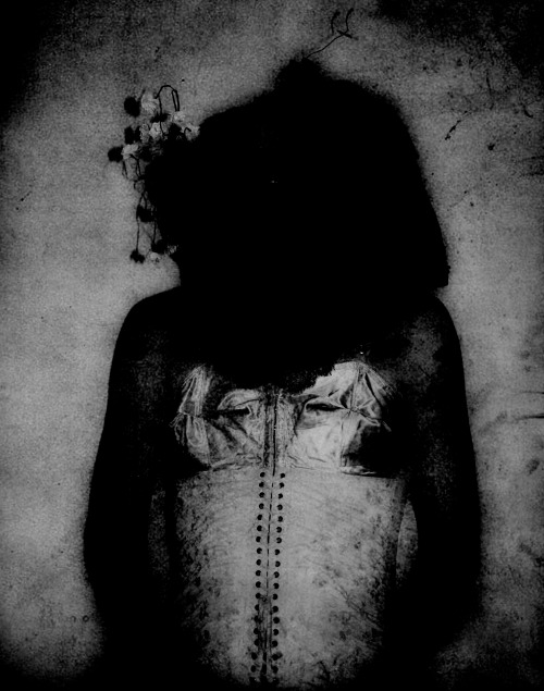 verbenaludovicadejesus:  the portrait of verbena ludovica de jesus 