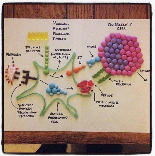 nursingisinmyblood:  asylum-art:    	 		 porn pictures