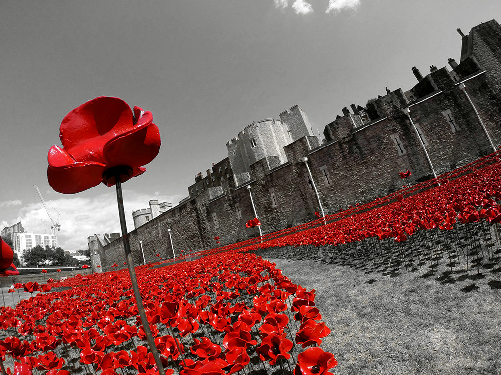 skush-uk:  Paul Cummins | Blood Swept Lands and Seas of Red  The Tower Of London