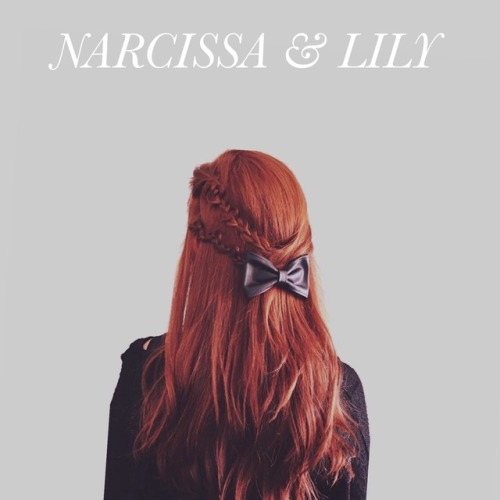 Narcissa & Lily