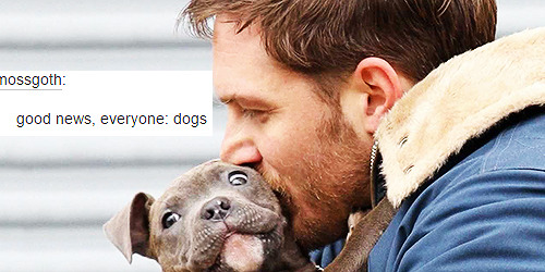 Porn photo stripperleepace:tom hardy + dogs (oops)