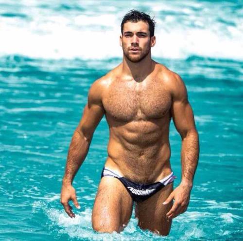 Would love to meet him coming out of the Ocean anytime - WOOF