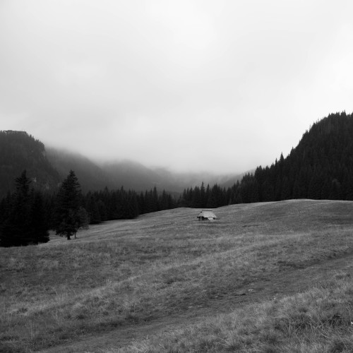 #ZAKOPANE AUG.2016