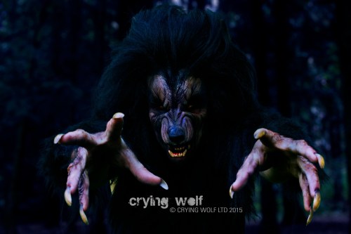 #MonsterSuitMonday “Crying Wolf” (2015) appears to feature a pretty amazing looking werewolf on the 