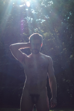 otternaturist: alan-turing75:  Hairy backlighting