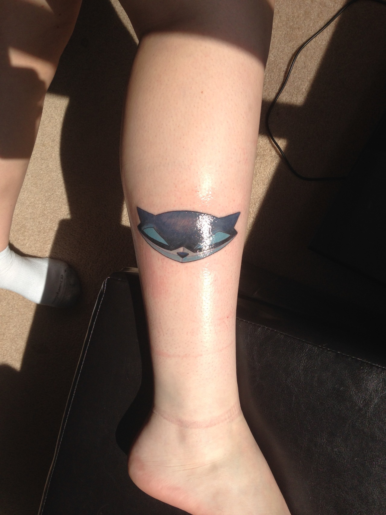Livin in an 8bit World  The Girl With the Sly Cooper Tattoo My first