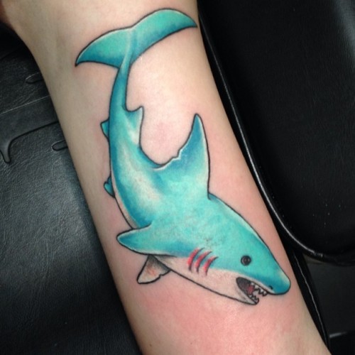 Loved making this adorable minty shark yesterday ** Inner arm!