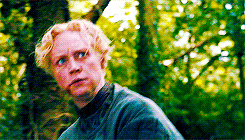 mastergamgee:Favourite GoT/Asoiaf Characters -> Brienne of Tarth