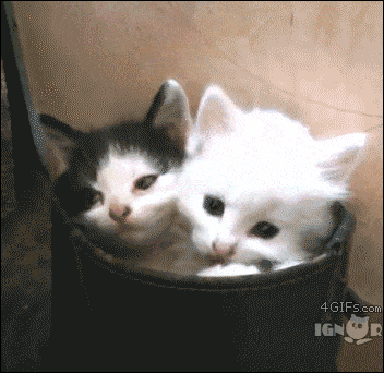 roxyismyforte:  Awwwwwwwww.. then there was 3Follow Roxy