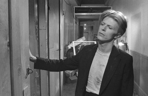 the man who fell to earth