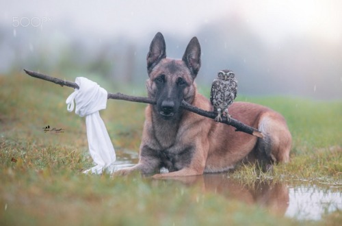 megarah-moon:     “Ingo and Poldi” by  Tanja Brandt   