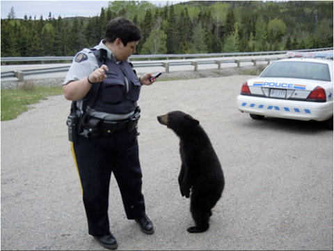 roboticappendages:  artistfingers:  teamcocket:  officer come quick there’s been a robbery  don’t you mean a ro-bear-y  THAT IS THE CUTEST POLICE OFFICER LADY AND BEAR I HAVE EVER SEEN LOOK AT THEM THEY’RE ADORABLE. 