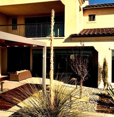 Landscape Container Garden San Diego