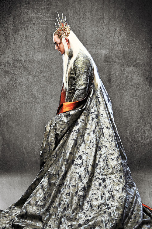 leepace71: Lee Pace as Thranduil…