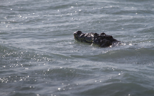 Sian Ka'an, Mexico (April 2014) 