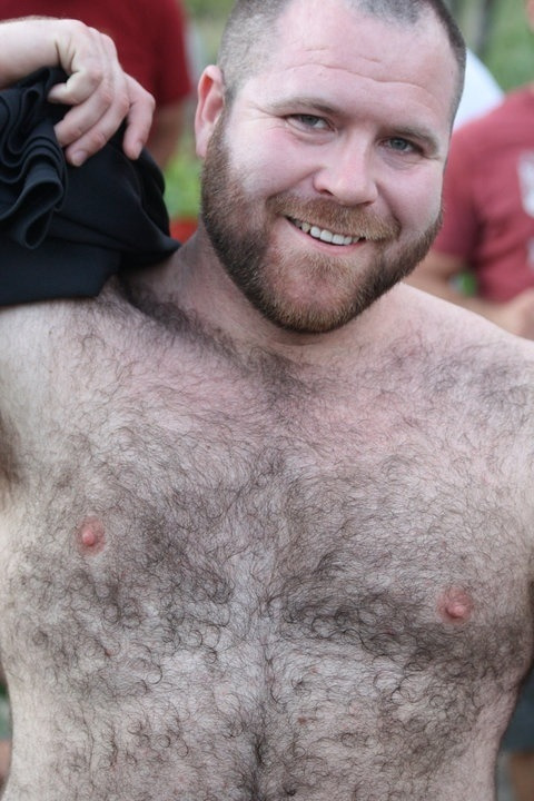 superbears:  cute 