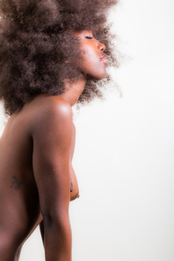 Ebony Collection