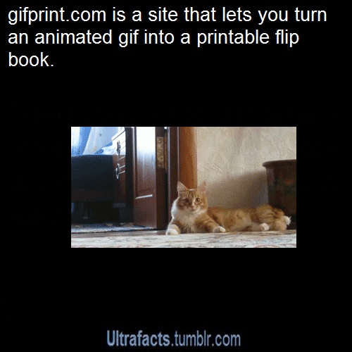 discofountain:  ultrafacts:  sublimehippie:  ultrafacts:  Want more life hacks/facts
