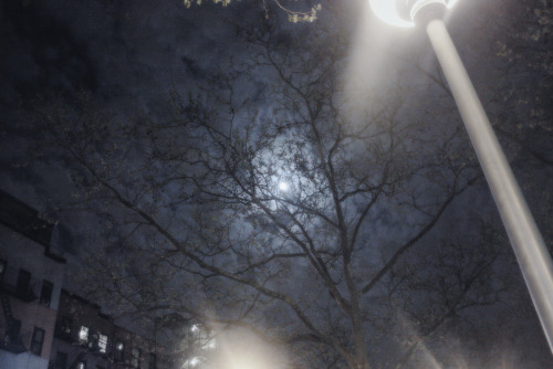 nataliekucken:  the moon when it was important to me from february, march, april, may, and june  