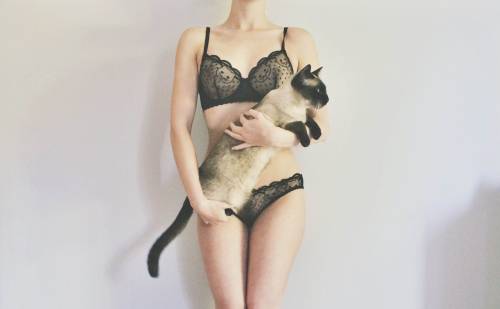 LINGERIE REVIEW MIMI HOLLIDAY NARCISSUS BRA AND BRIEF I fell in love with this holy cat themed set o