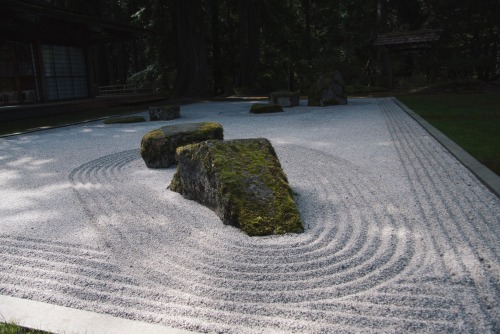 zen garden