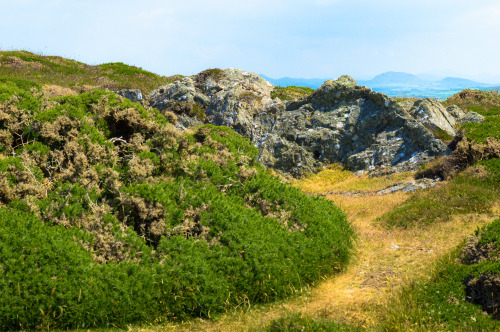 llŷn peninsula