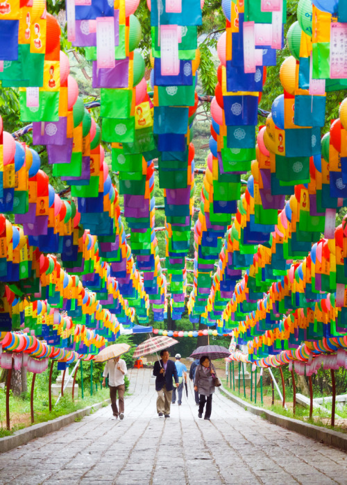 lovesouthkorea:Tunnel of Lanterns 2 by Gijj on Flickr.