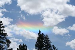 justinbiebergoth:  Circumhorizontal arc above Post Falls, Idaho on June 3, 2013(Photo Credit: Terry Honodel)