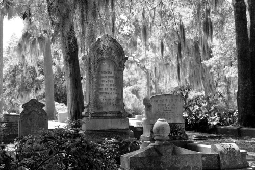 seanjustice:  -Photo by seanjustice Savannah, Ga.