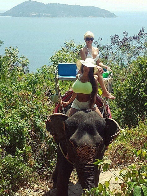 funbaggery:  Tiny woman with party sized tits on an elephant. 😍🐘🏀🏀