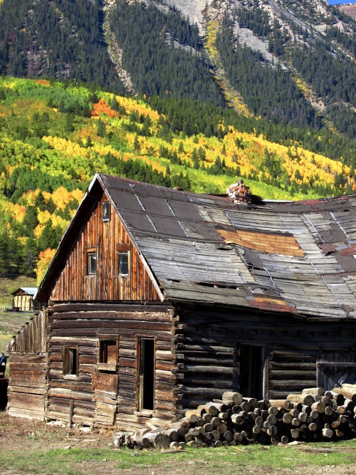 An old cabinCrested Butte, Colorado