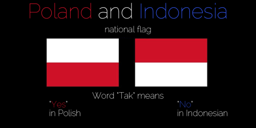 kineticpenguin:argumate:rvexillology:We all know about the flags, but what about the language? from 