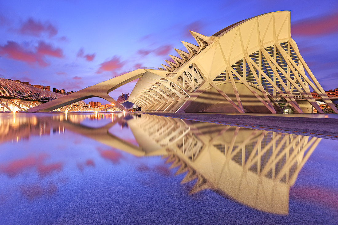 citylandscapes:  Prince Philip Science Museum, Valencia, Spain by Sven Broeckx 