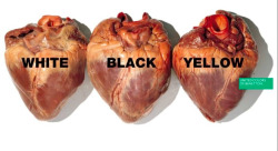 finofilipino:  Los anuncios Anti-Racismo más hardcores de los últimos 20 años. 1996 Benetton 1996 UK 1999 campaign via the UK by the Commission for Racial Equality 2001 For the National Congress Of American Indians 2002 Via the UK for the National