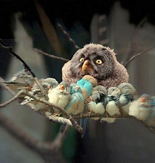 pleatedjeans:  Nature is Majestic (24 Pics) 