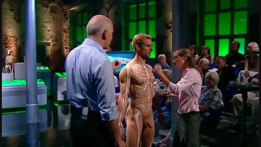 planetcfnm:  CFNM moments from BBC’s Anatomy for Beginners