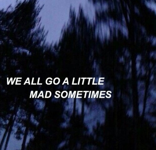 im-an-optimistic-pessimist:  I’ve gone mad.