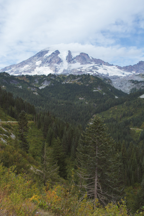 Mount Rainier National Park