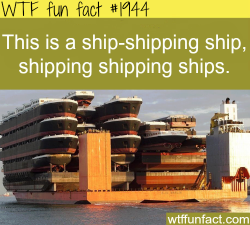 wtf-fun-factss:  Ship-shipping ship, shipping shipping ships  - WTF fun facts