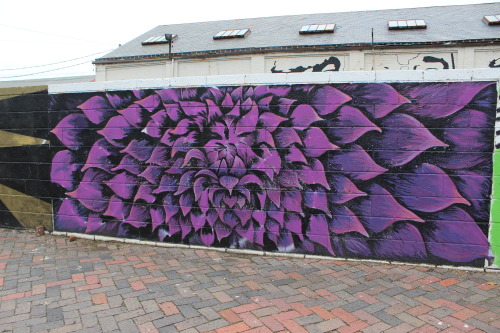 lexlikesphotos: RVA STREET ART FESTIVAL 2014 12.30.14 lexnico-photos.tumblr.com