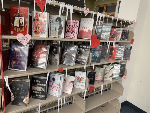 lookingforabook:Valentine vs Anti-Valentine library display