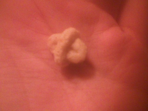 I found a multi-grain Cheerio.