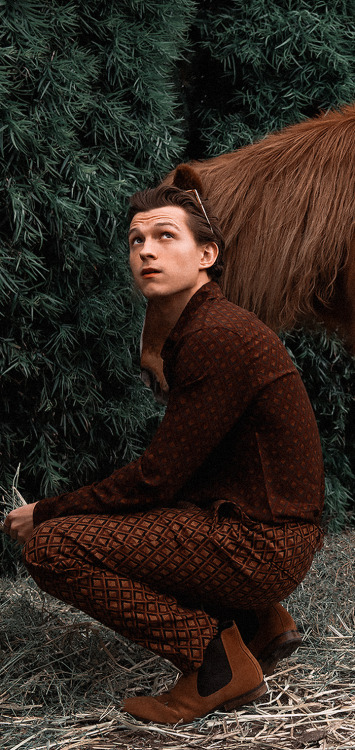 lokcscreen: tom holland | like or reblog